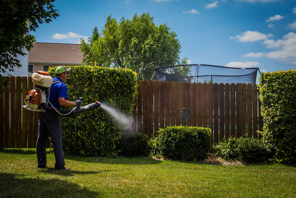 Mosquito Control with Fogger